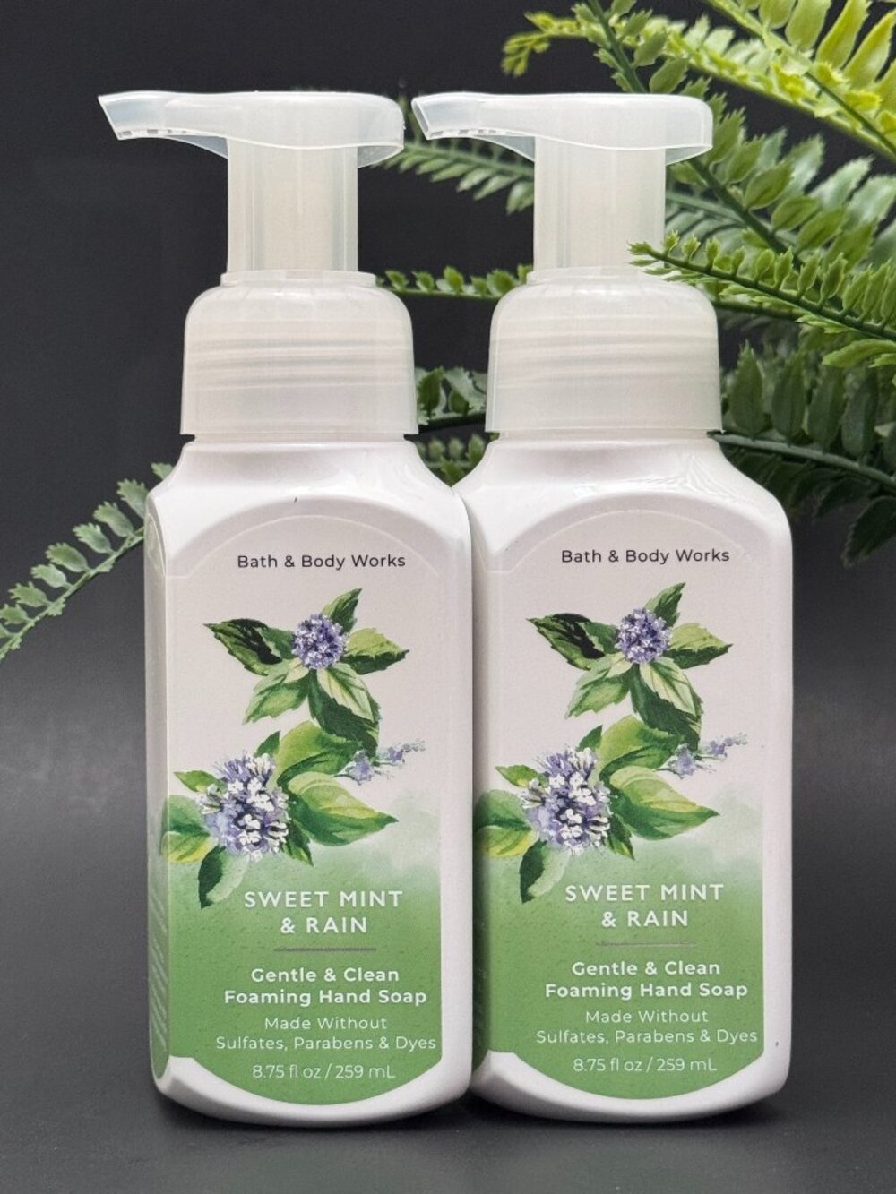 Bath & Body Works BBW Sweet Mint & Rain Gentle Foaming Hand Soaps X 2